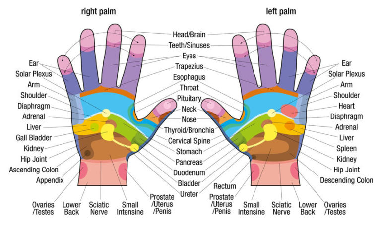 Read more about the article 6 Powerful Hand Acupressure Points That Can Heal Ailments