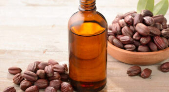 6 Jojoba Oil Benefits for the Health and Beauty of Your Skin