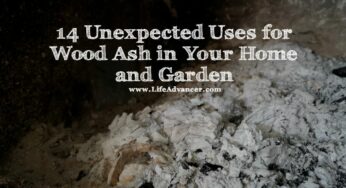 14 Unexpected Uses for Wood Ash in Your Home and Garden