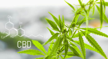 9 CBD Benefits That Can Improve Your Overall Health and Life