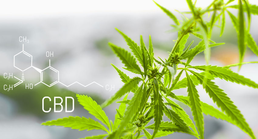 CBD Benefits That Can Improve Your Overall Health and Life