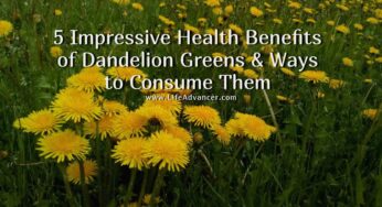 5 Dandelion Greens Health Benefits and Ways to Consume Them